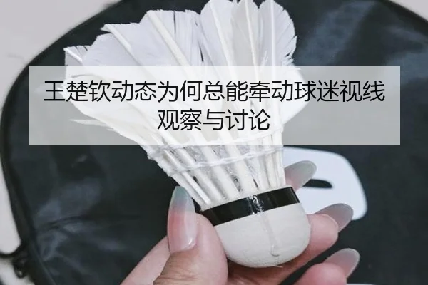 王楚钦动态为何总能牵动球迷视线 观察与讨论